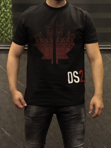 بلوة DS2